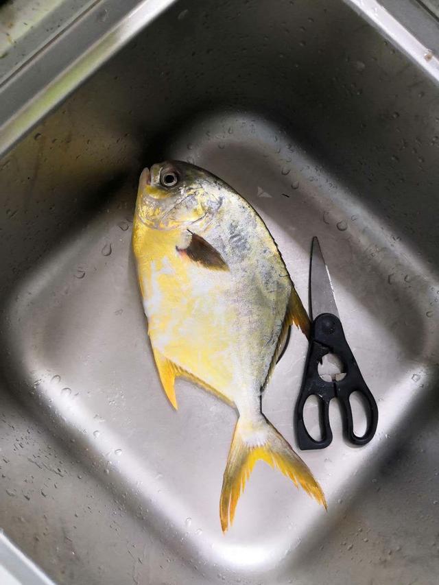海钓黄腊鲳技巧(钓友公认十款海钓竿)