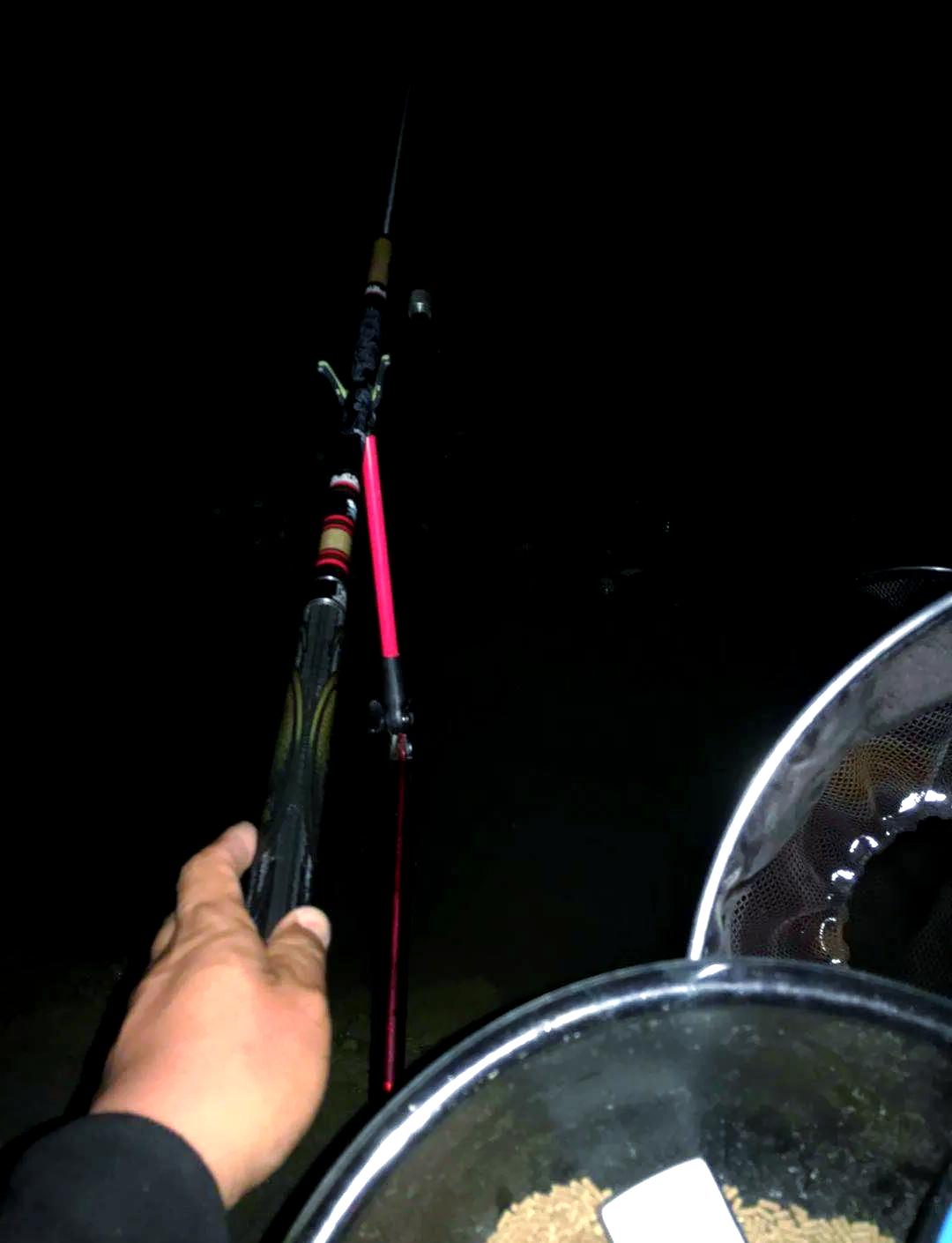 夏季肥水河夜钓技巧(肥水河道钓鱼饵料)