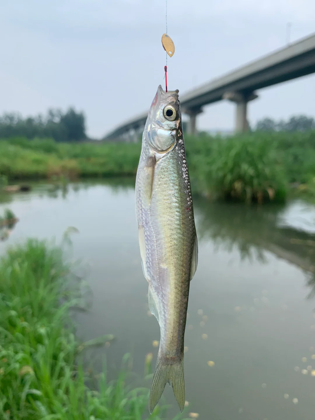 息县沙河路亚(丘北县属于哪个省哪个市)