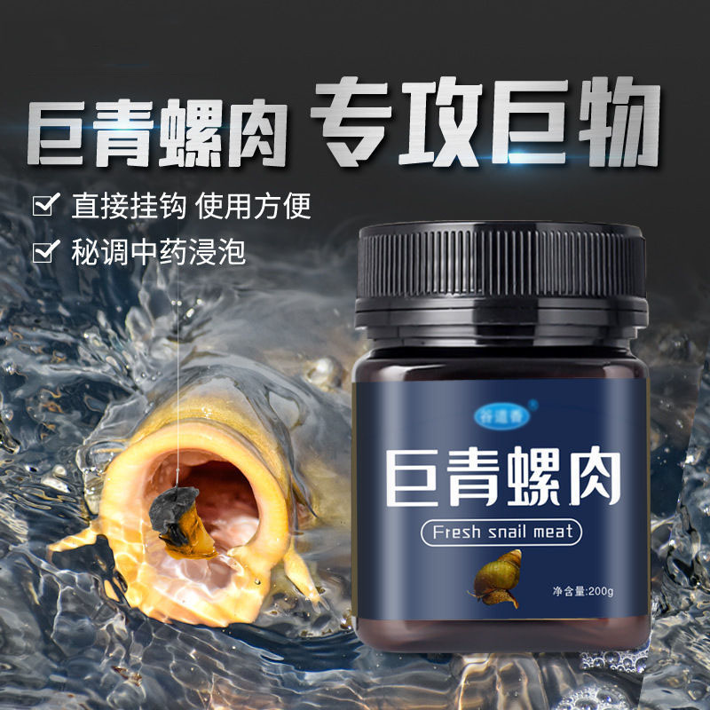 装鲶鱼用什么饵料(如何装鲶鱼)