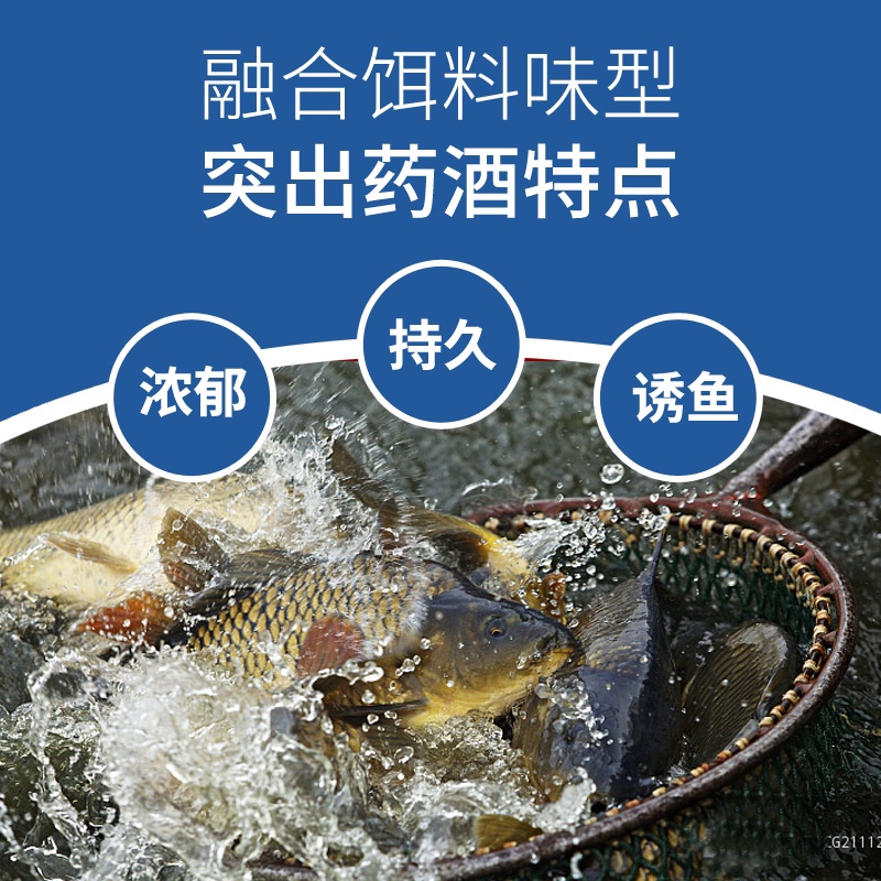 北海钓鱼饵料(北海钓鱼的好地方)