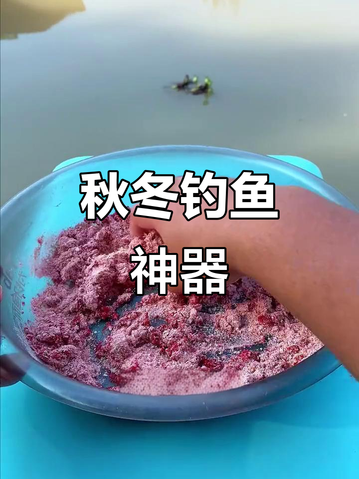饵料狂拉是什么(饵料拉的小)