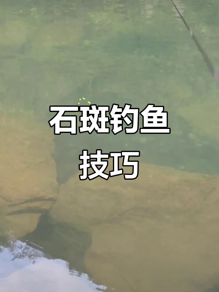 冬天野钓溪流钓鱼技巧(丹参和红枣能疏通血管吗)