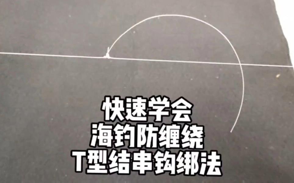 海钓子线防缠(海钓子线防缠绕怎么用)