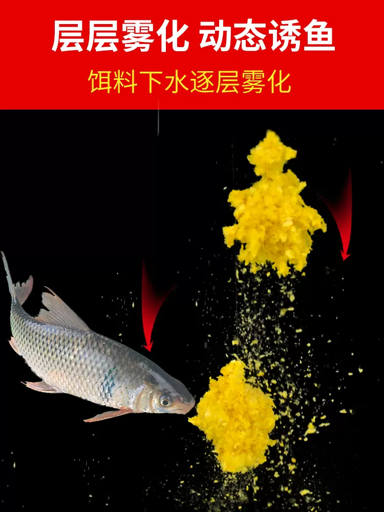 黄贯2号饵料(钓红尾鱼哪种饵料最好)