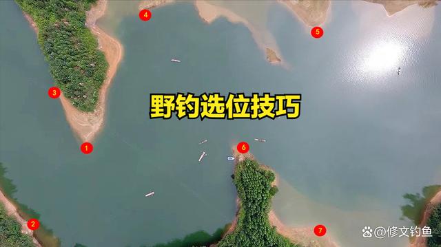 野钓选位技巧(野钓选位技巧分享)