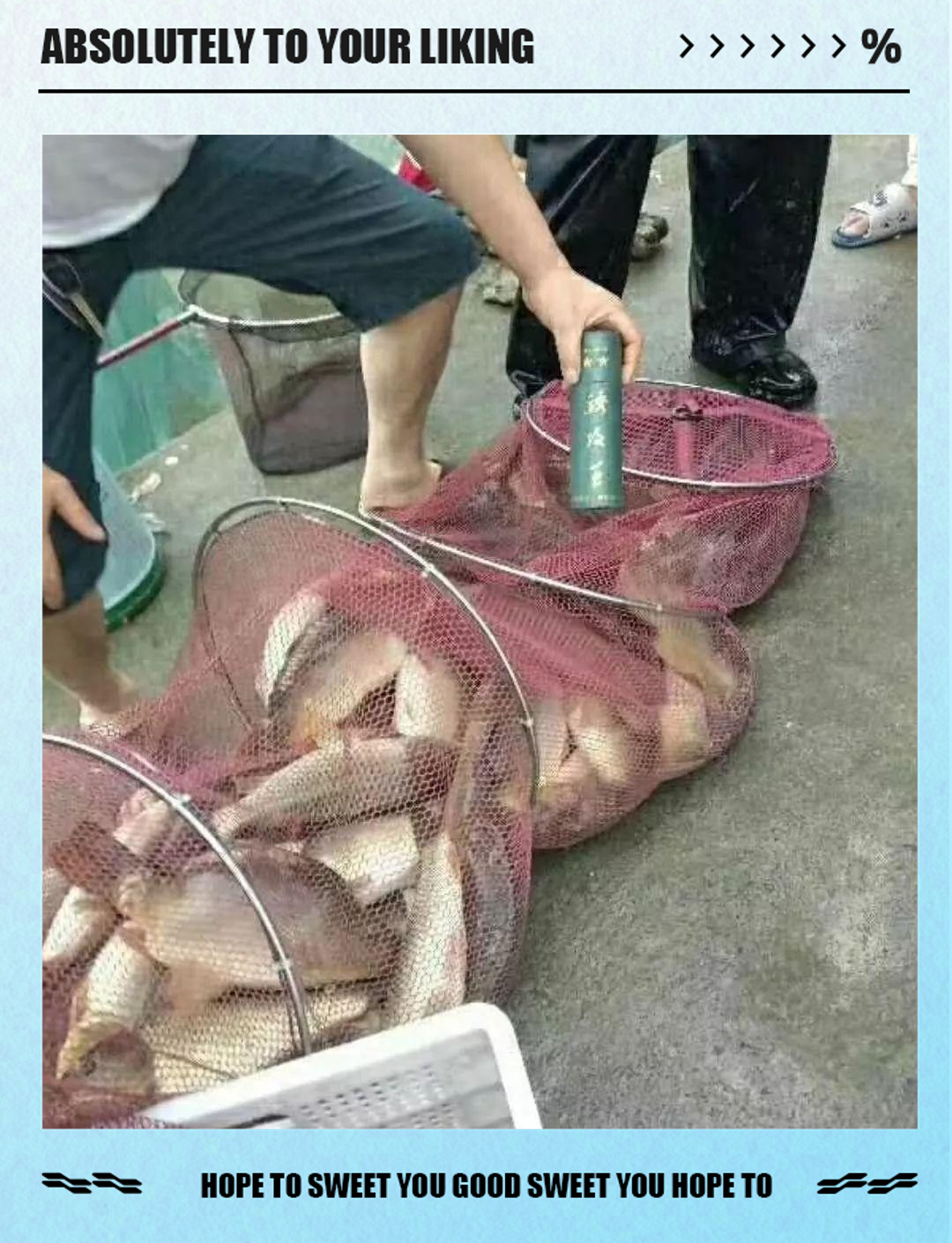 冬季黑坑钓鲤鱼技巧(冬季黑坑钓鲤鱼技巧大全)