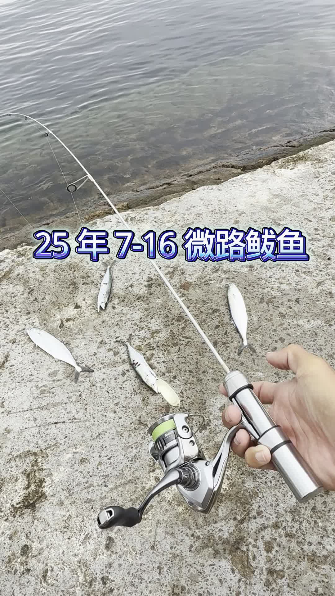 路亚海钓鲅鱼视频(路亚鲅鱼技巧和用饵)
