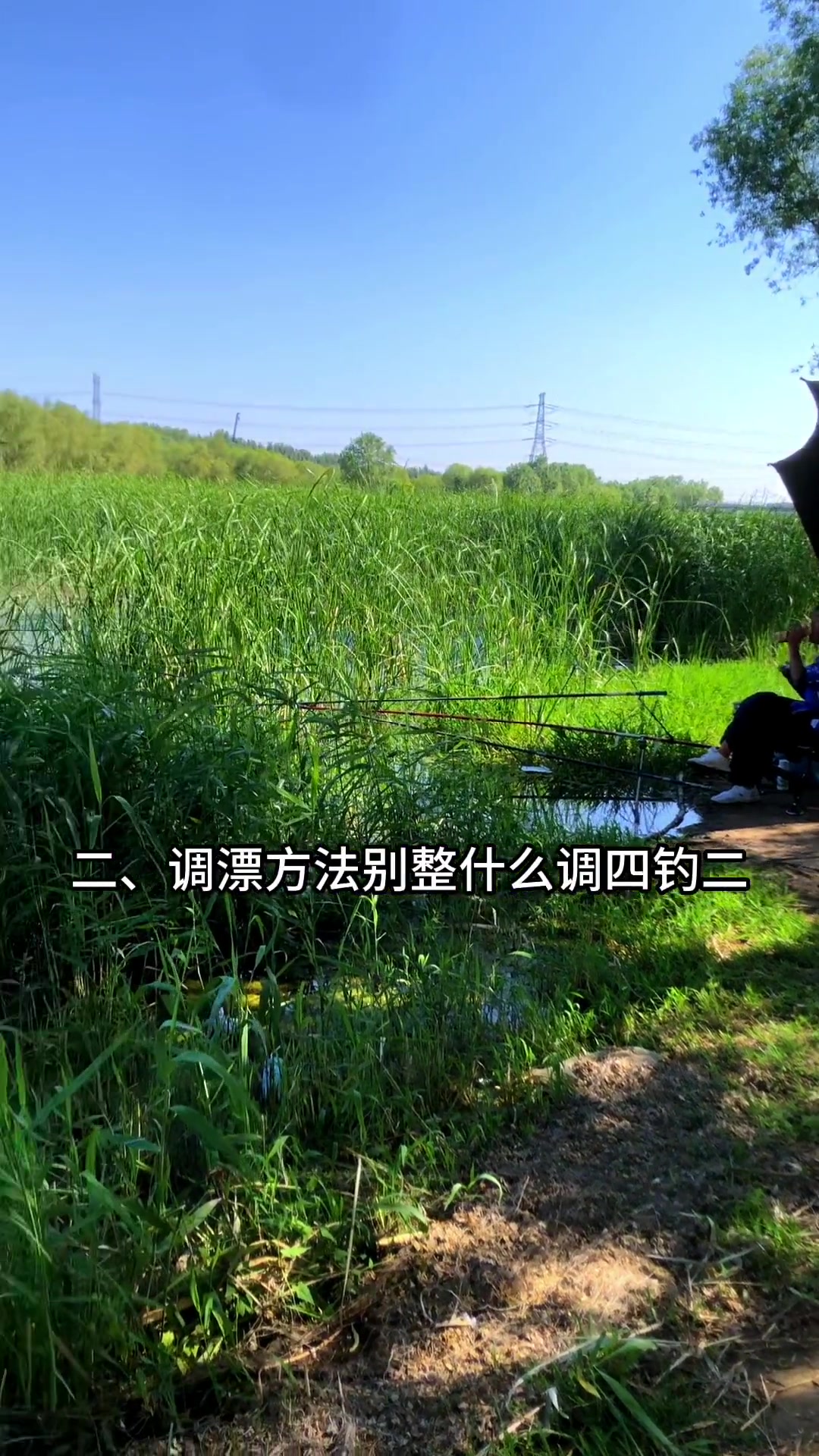 六月钓鱼钓技巧(大话武器开光几率)