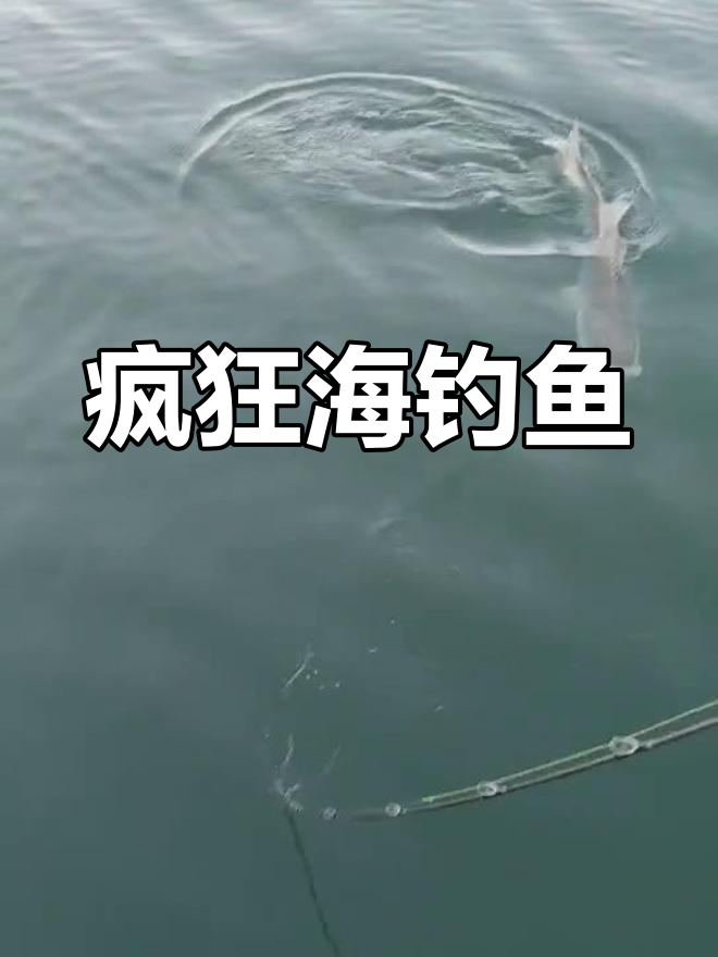 海钓晚上钓大鱼图片(夜晚海钓图片)