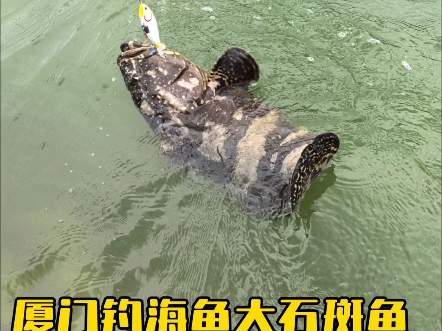 厦门海钓吧(厦门海水钓场)