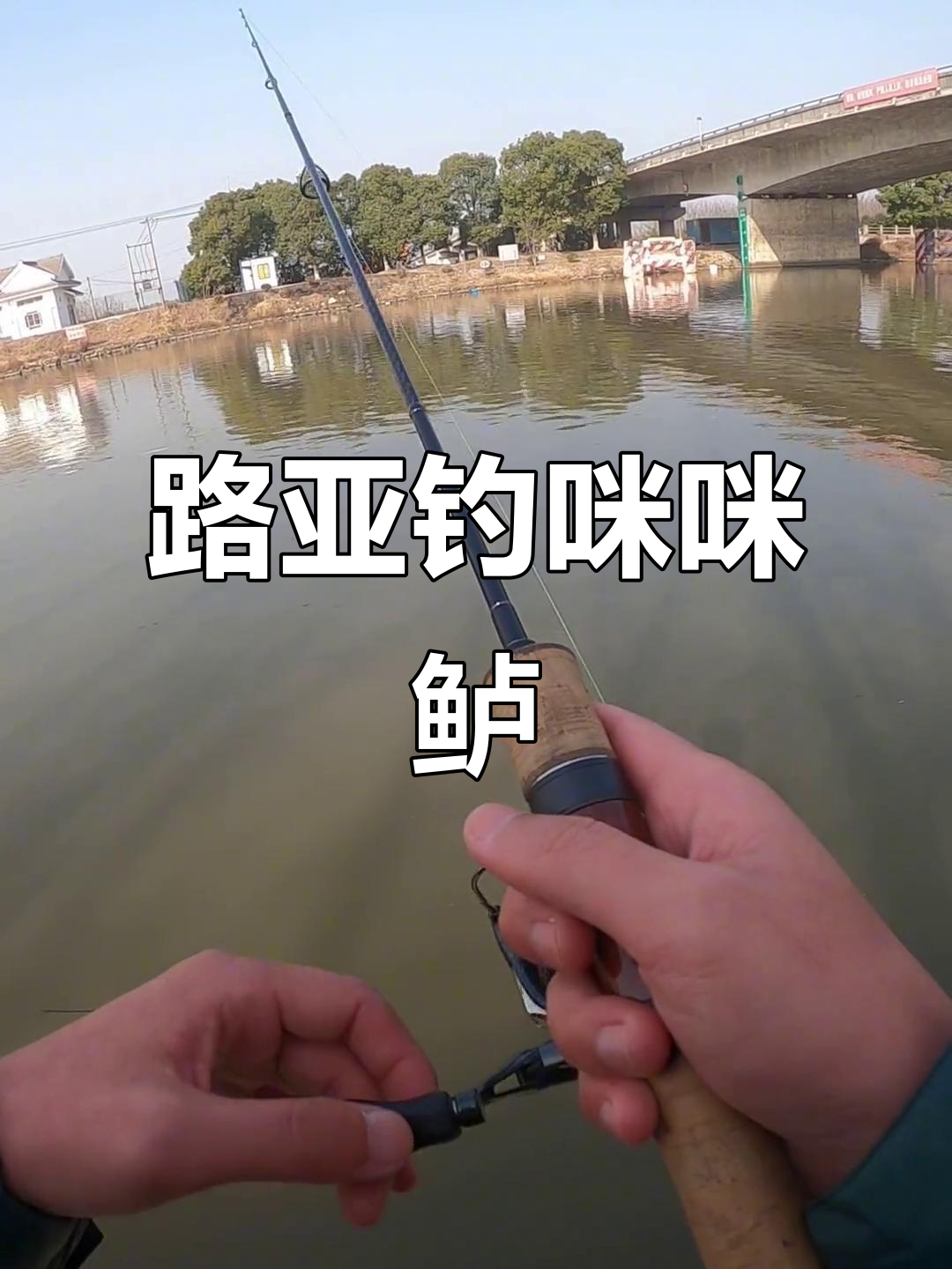 路亚海钓鱼(路亚海钓鱼种)