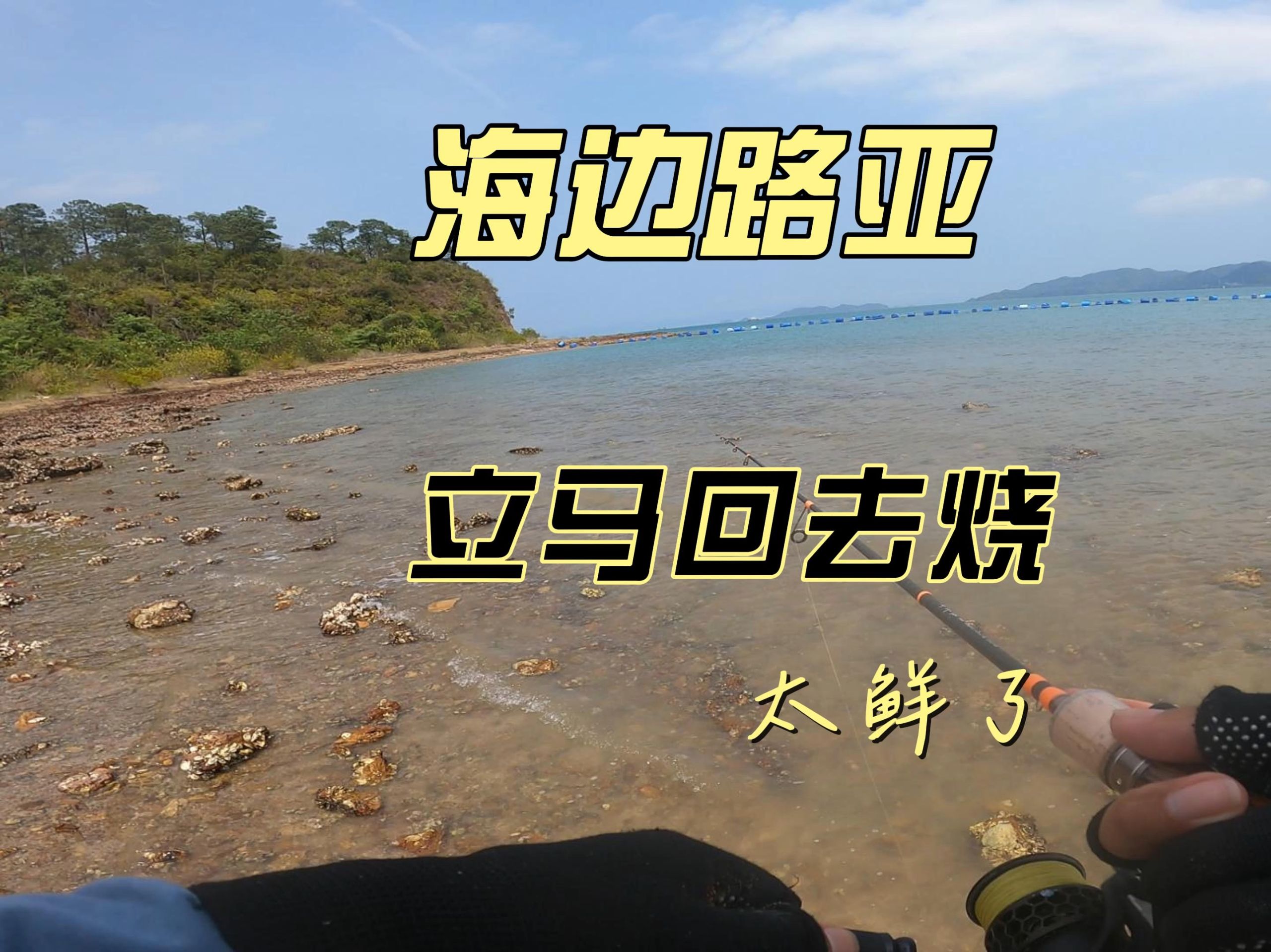 海滩怎么路亚(海滩 路亚)