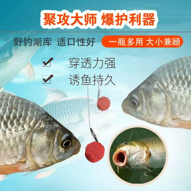 竹百鲤饵料(竹白鲤又叫什么鱼)