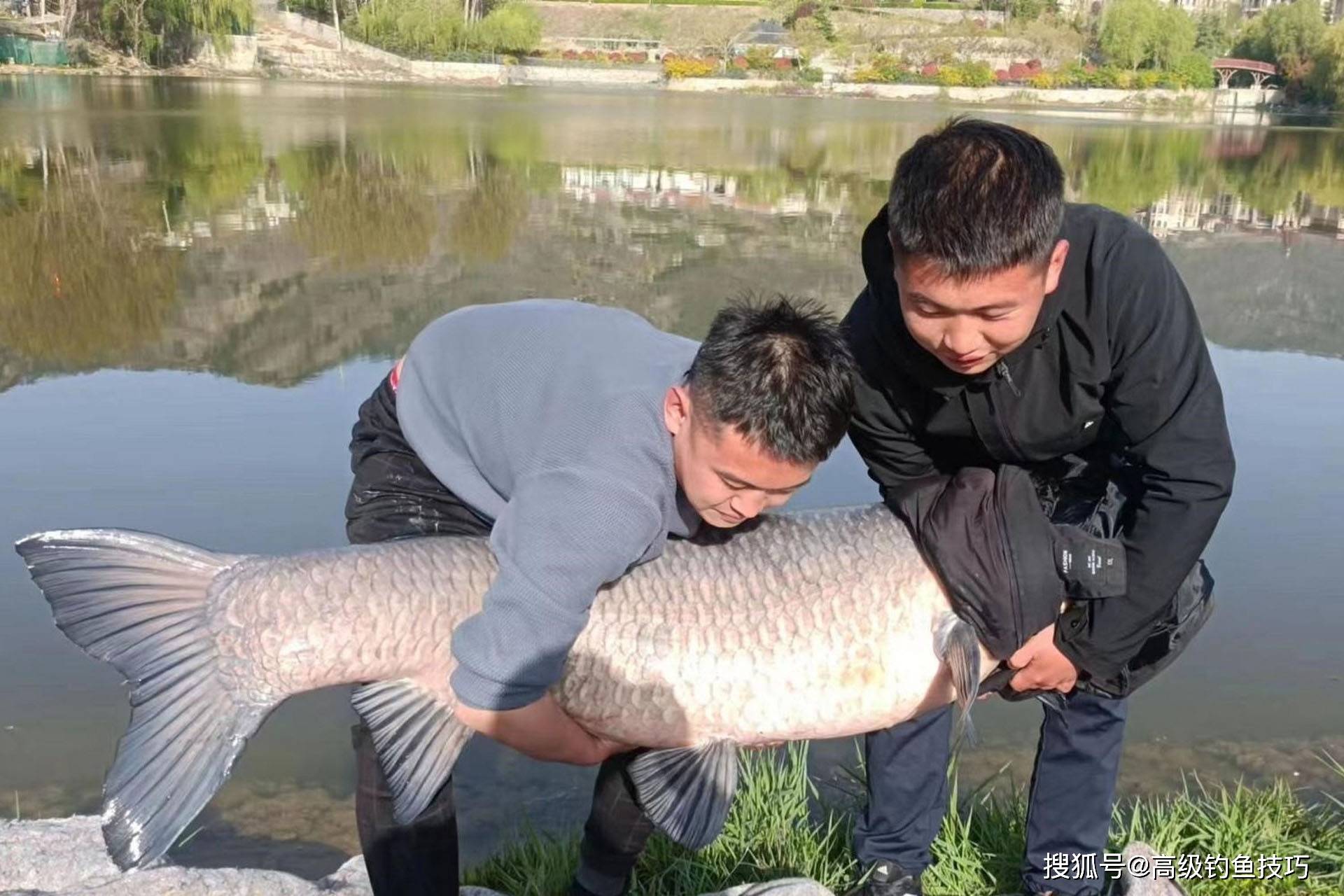 湖库钓技巧(湖库钓鱼视频)