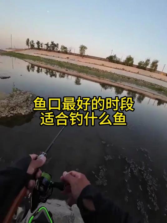 深秋野钓鱼口轻技巧(深秋如何野钓)