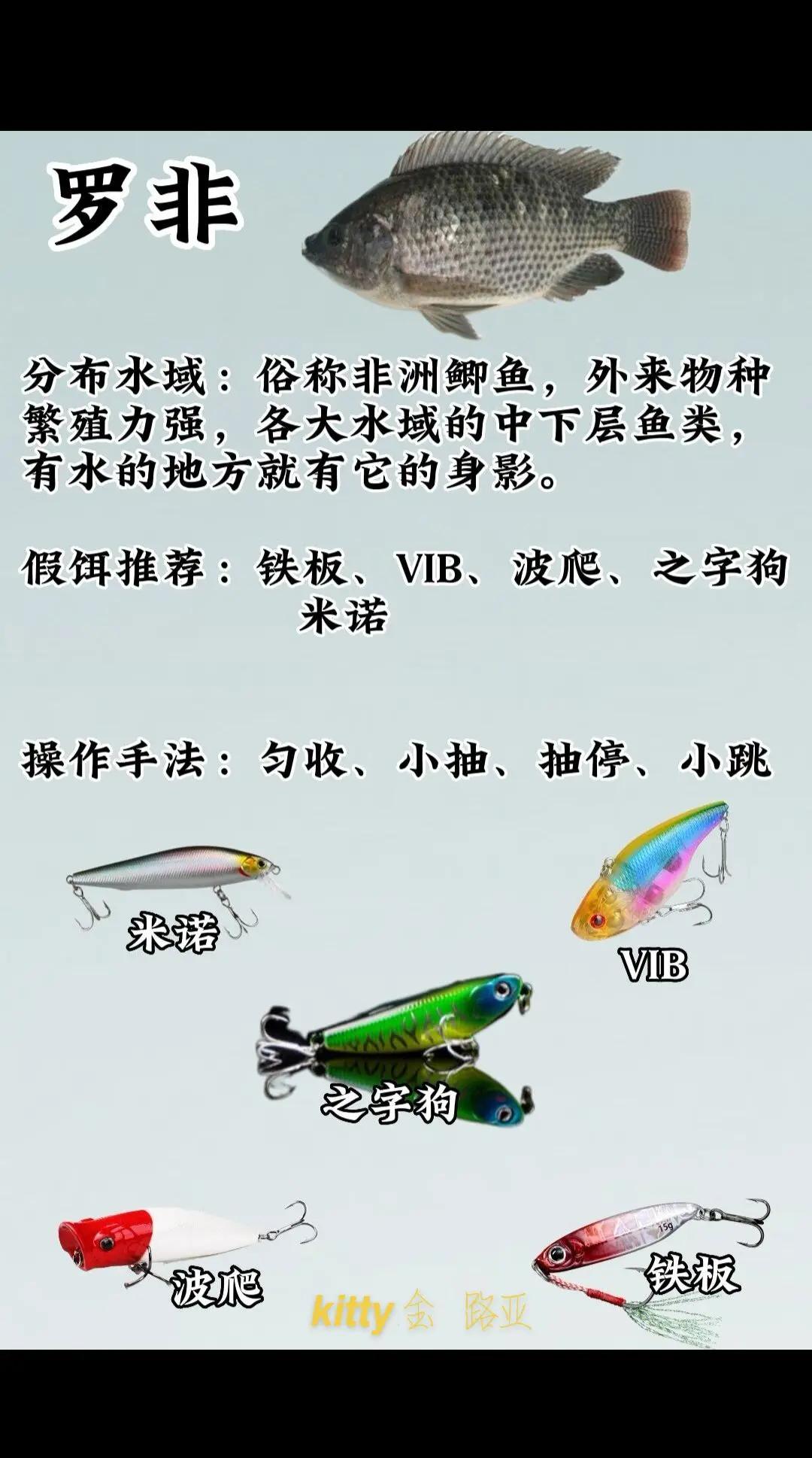 钓乌饵料配方(钓乌饵料配方视频)