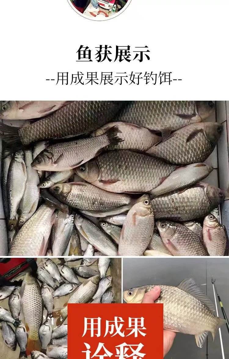 鱼塘鲤鱼用什么饵料(鱼塘钓鲤鱼怎么钓)