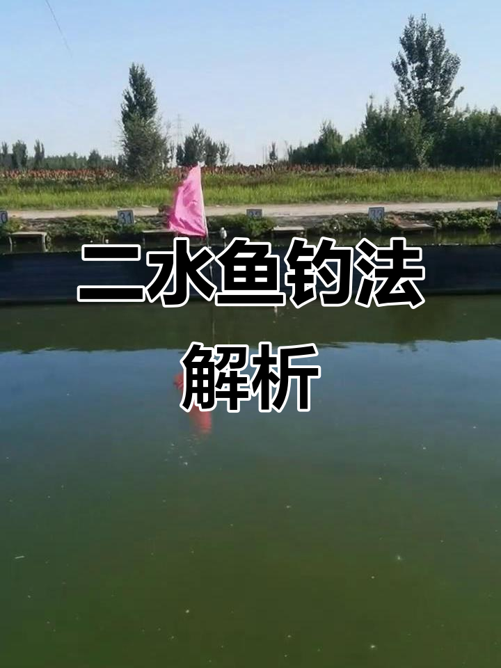黑坑偷驴技巧分享(黑坑偷驴技巧方法)