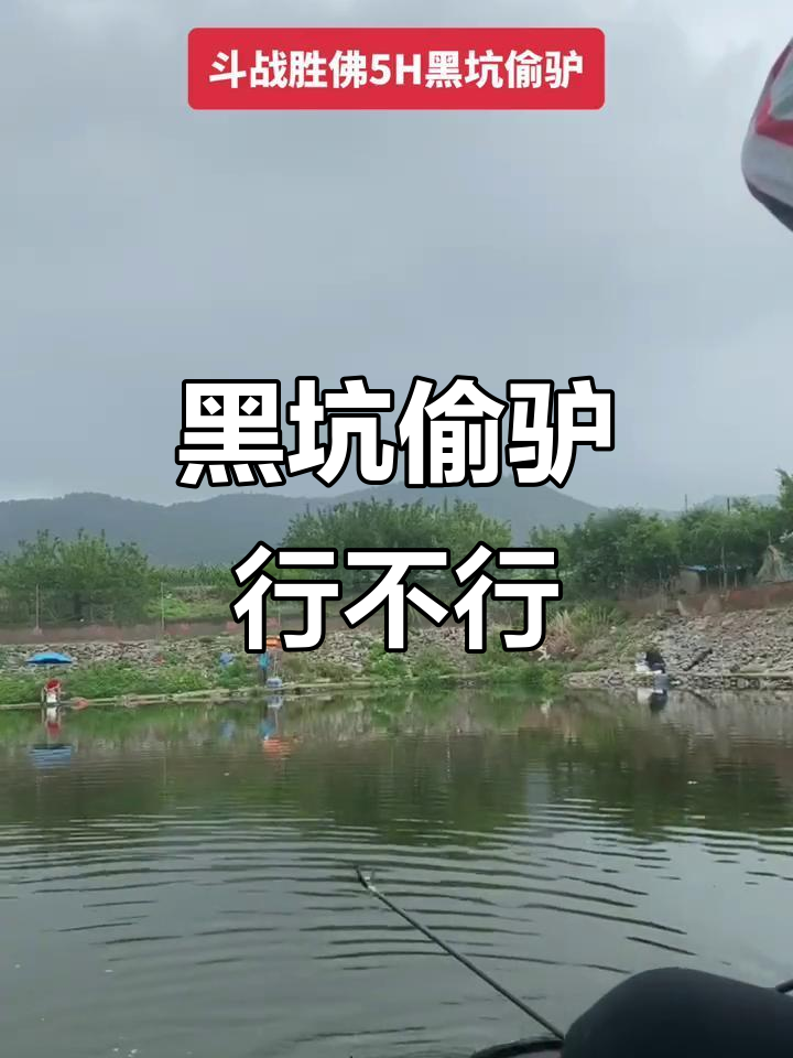 黑坑偷驴技巧分享(黑坑偷驴技巧方法)