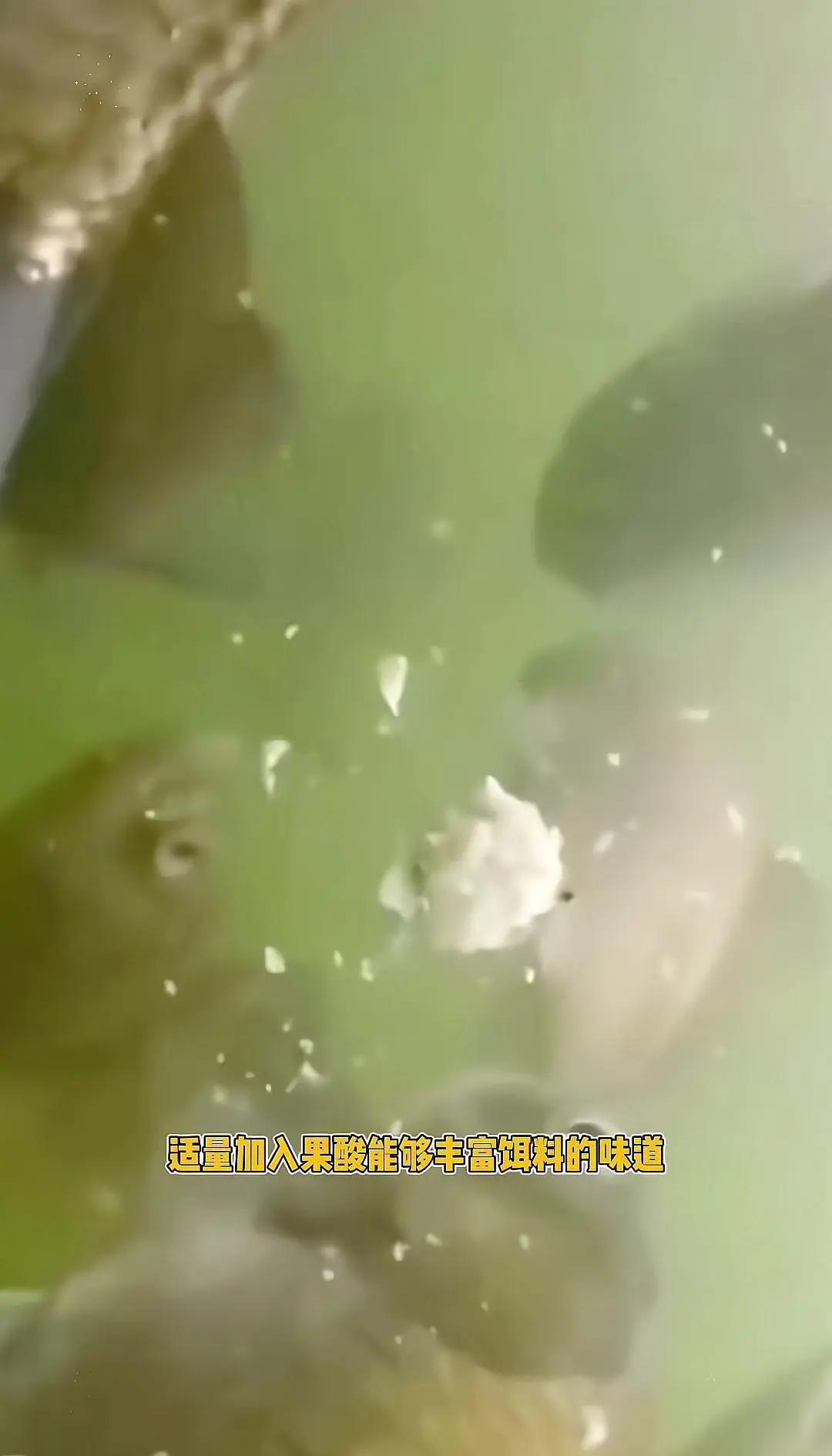 饵料用久了很湿(饵料用久了很湿怎么处理)
