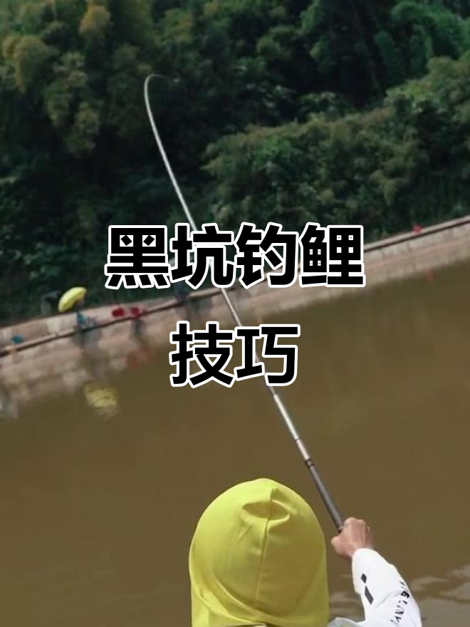 夏季钓黑坑技巧(夏季钓黑坑用什么方法)
