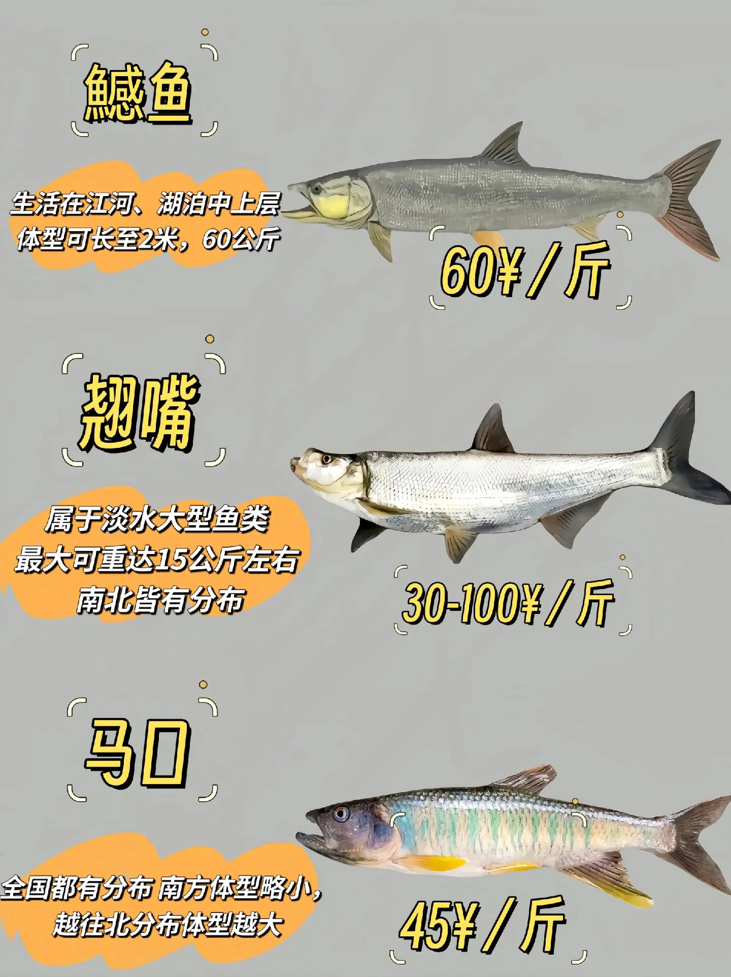 汾河路亚鱼种(汾河里有什么鱼种)