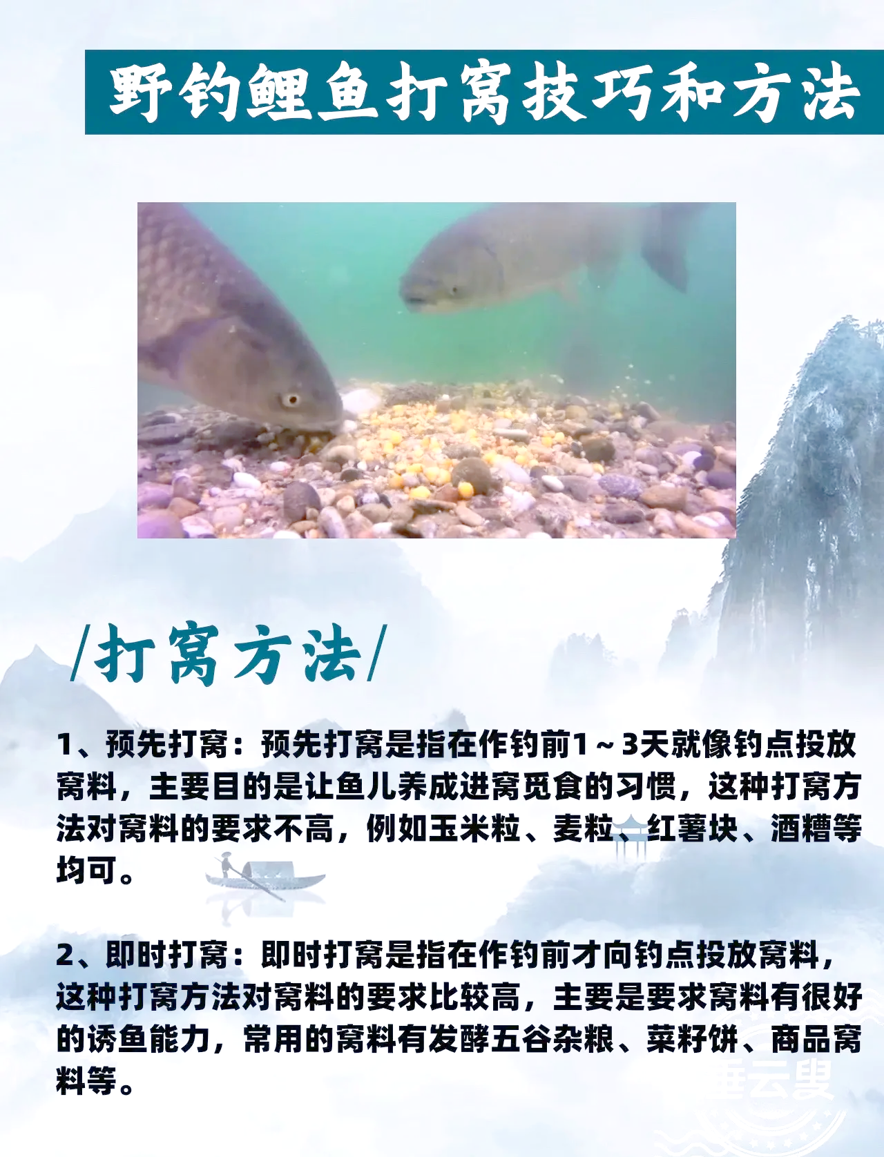过河钓野生鲤鱼技巧(过河钓野生鲤鱼技巧视频)