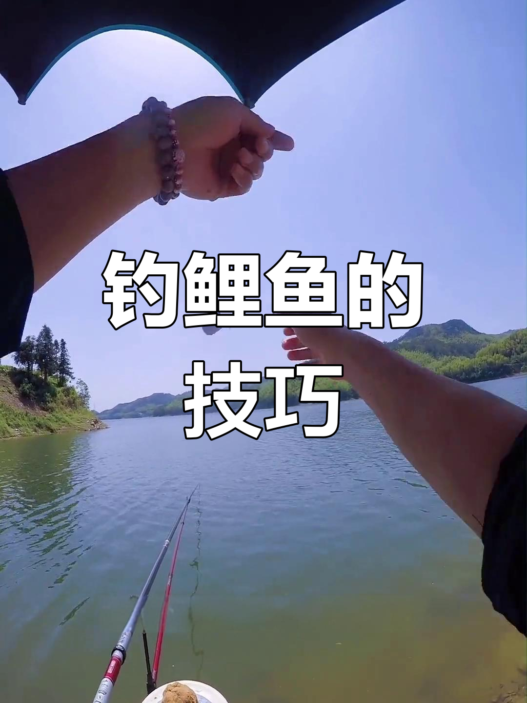 过河钓野生鲤鱼技巧(过河钓野生鲤鱼技巧视频)