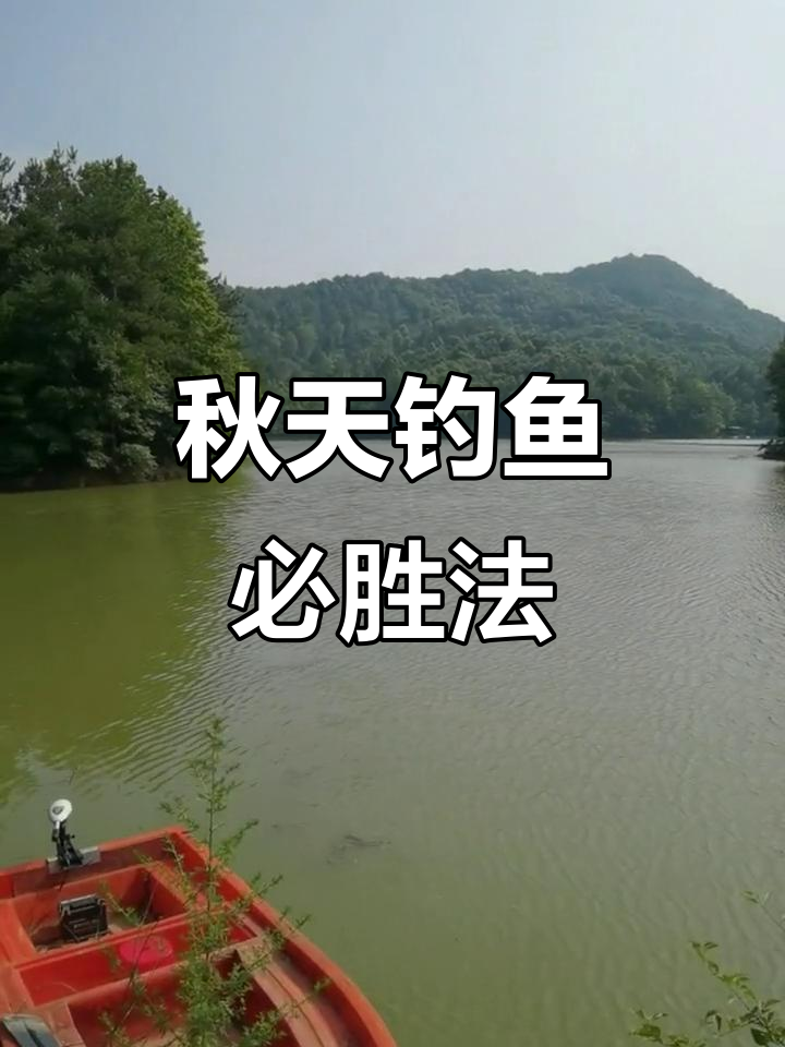 秋季河钓鱼技巧(秋季河流野钓技巧)