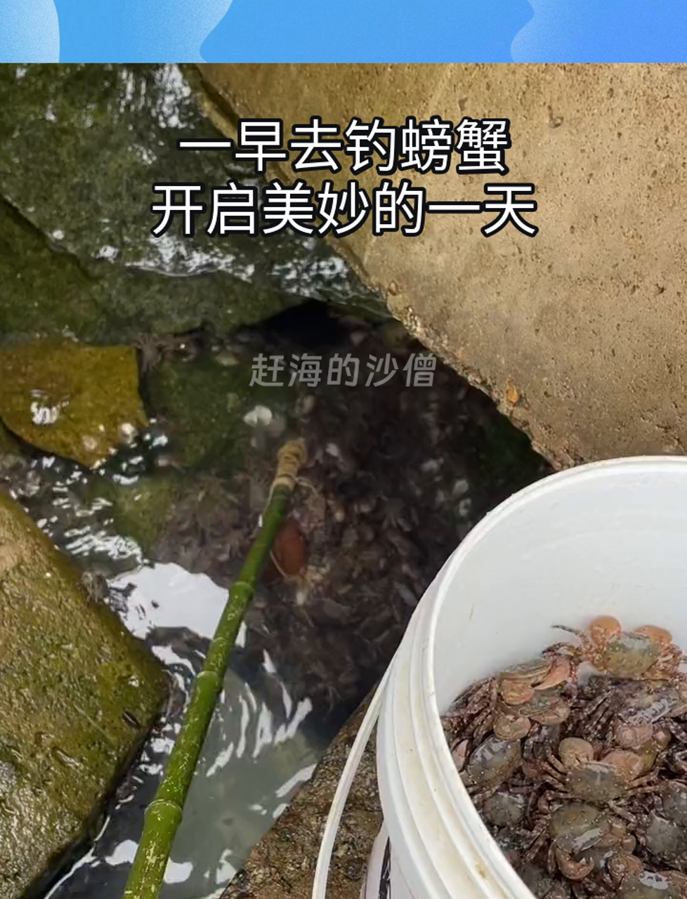 吊蟹小技巧(怎么吊大闸蟹)