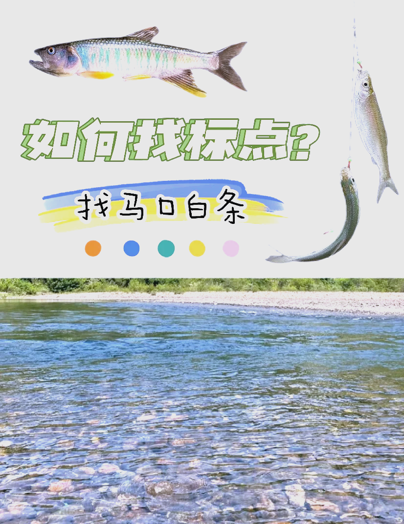 流水钓马口鱼技巧(流水钓马口鱼技巧图解)