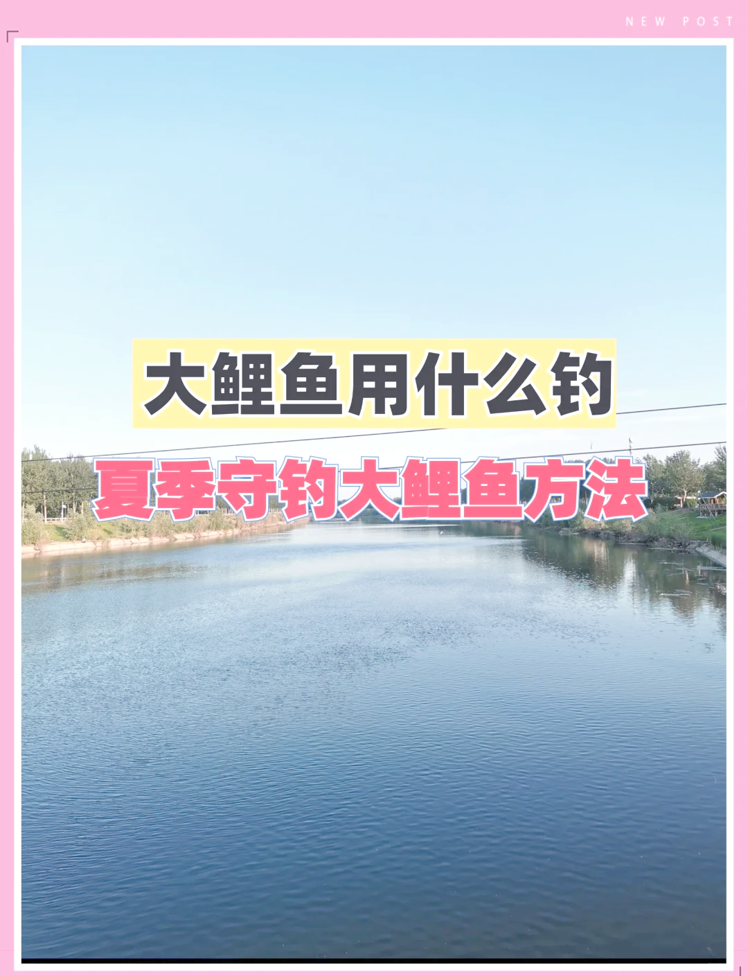 夏天野钓夜钓鲤鱼技巧的简单介绍