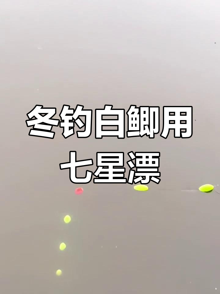 钓白鲫的技巧冬天(钓白鲫用什么饵料最好)