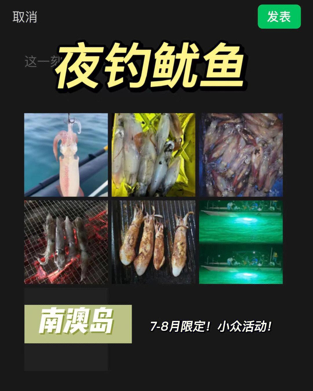 海钓鱿鱼怎么吃(鱿鱼海钓可以钓到什么鱼)