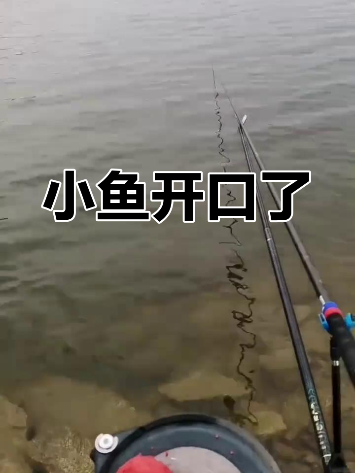 阴雨天钓鱼技巧视频(阴雨天钓鱼的三大绝招)