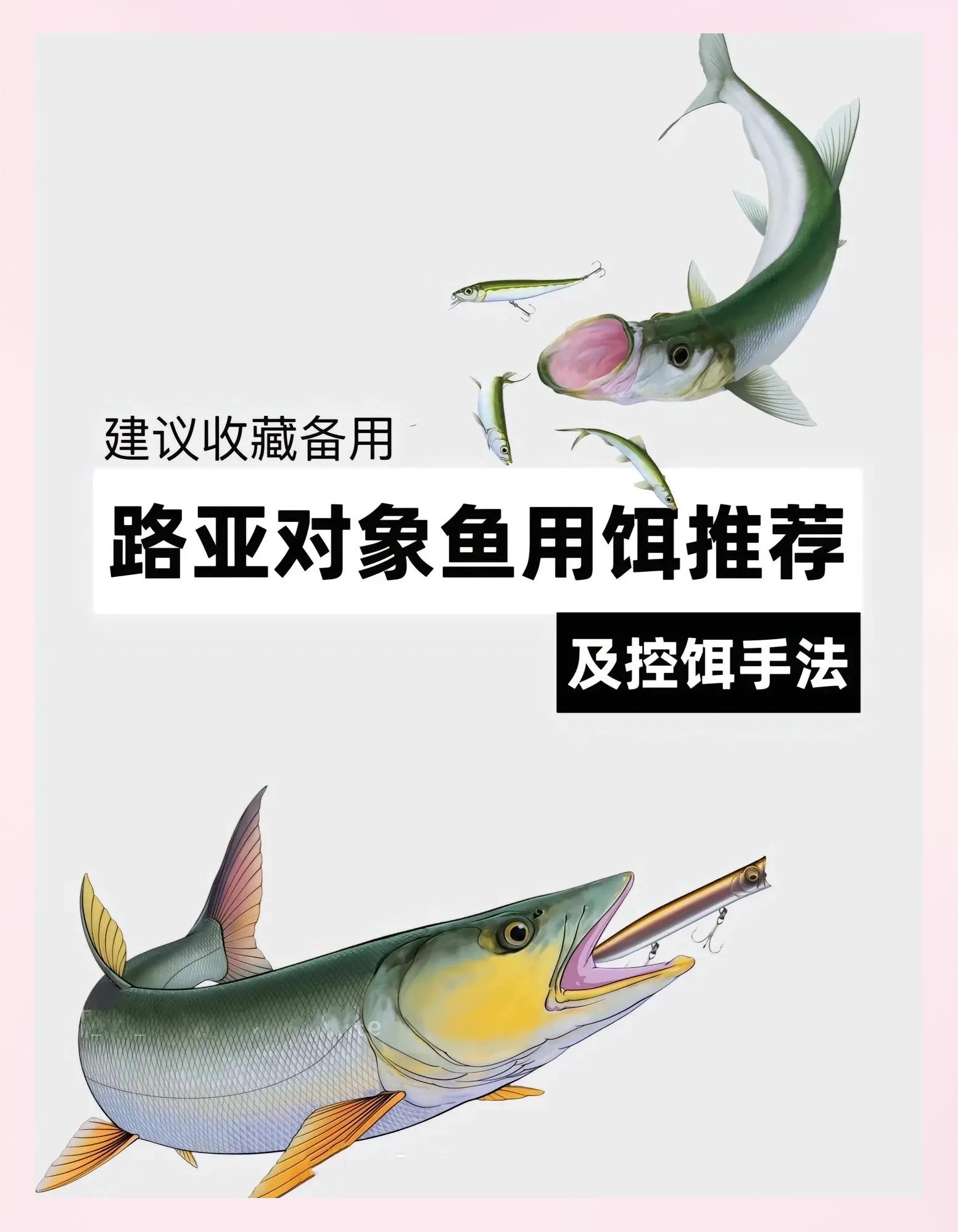 路亚对象鱼选线(路亚选什么线)