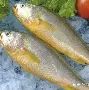 四海钓鱼知鱼宝(十大经典钓鱼小说)