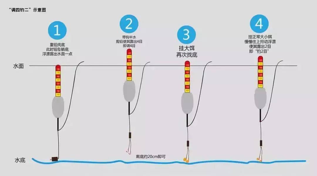 怎么区分饵料(怎么判断鱼饵是否沉底)