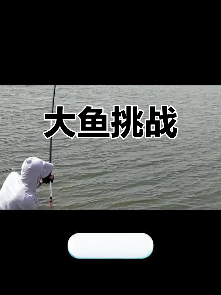 钓鲻鱼方法和技巧(钓鮰鱼经典钓法)