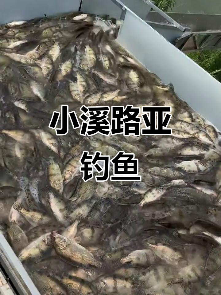 镇江哪里能路亚(镇江路亚标点)