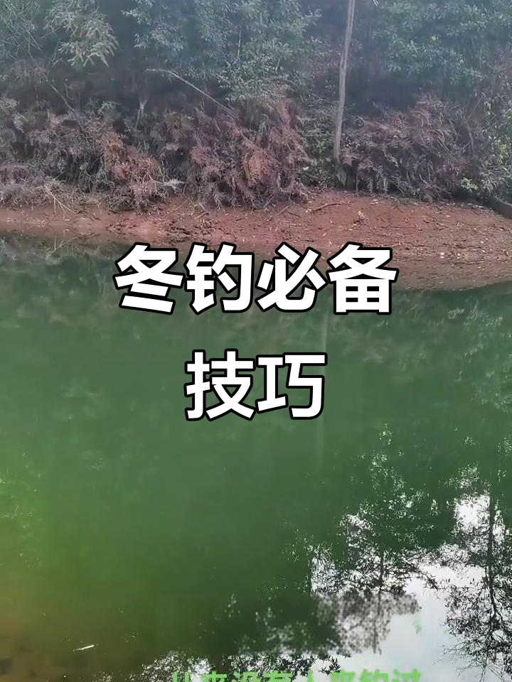 冬天钓鱼钓鱼技巧视频(冬天钓鱼?)