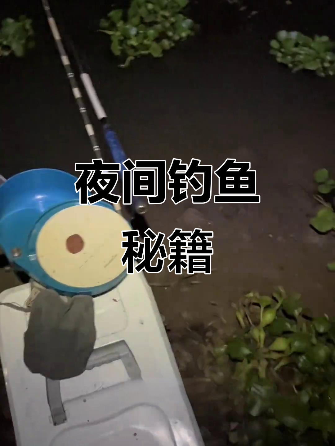 夜晚垂钓鲫鱼技巧(晚上夜钓鲫鱼怎么选择钓点)