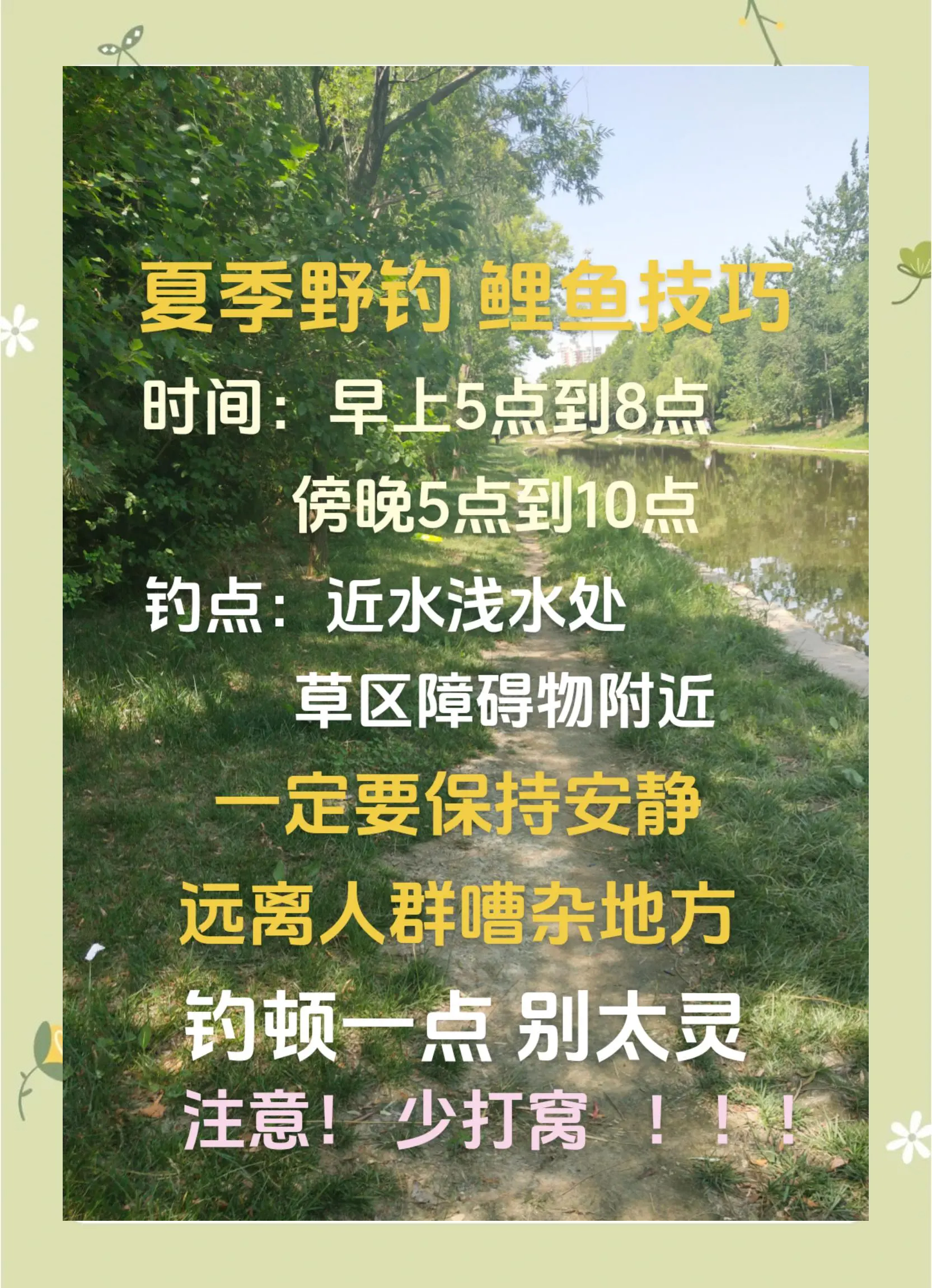夏季逗钓鲤鱼技巧(逗钓鲤鱼怎么调漂)