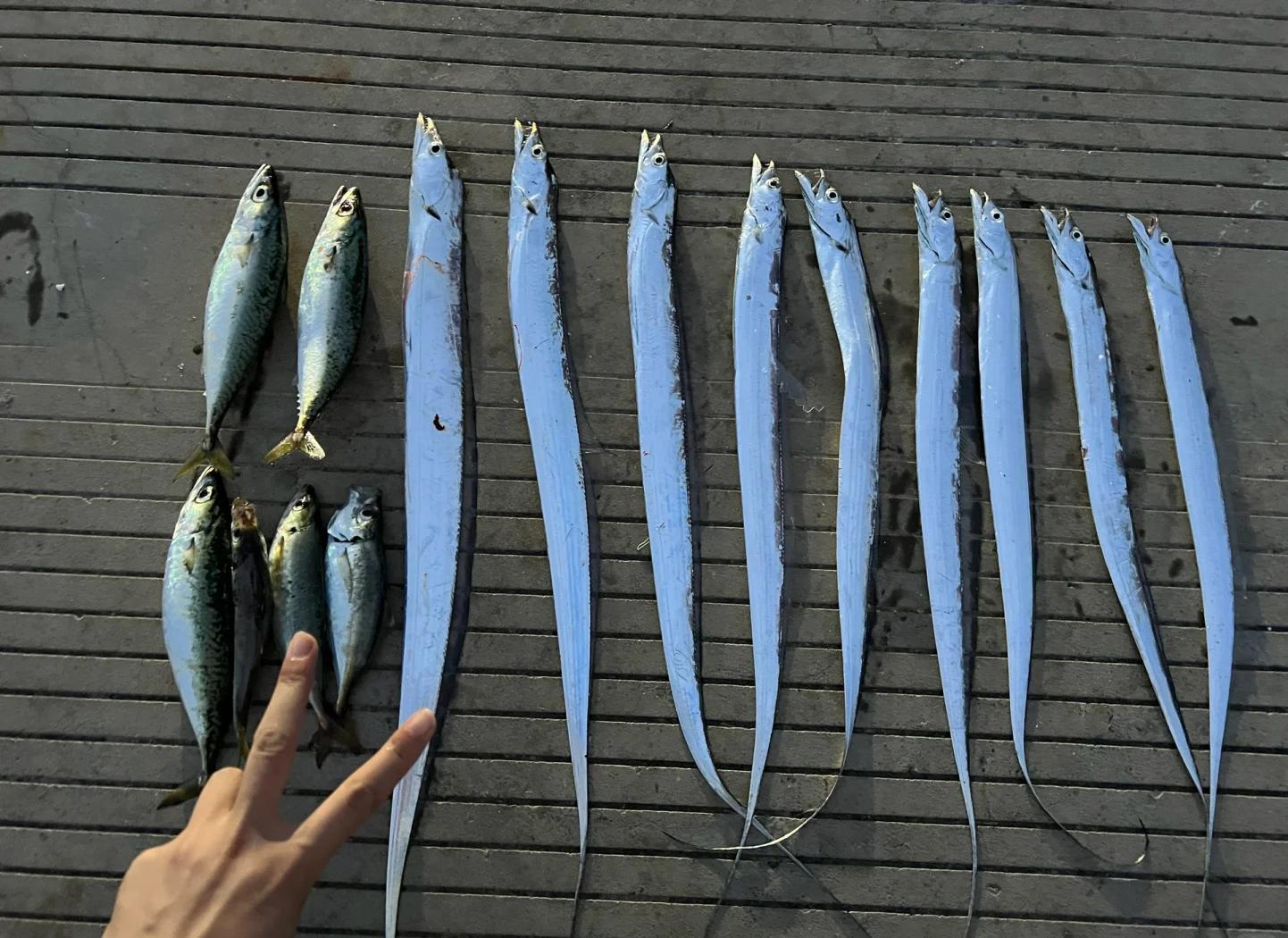 七洲列岛海钓(七洲列岛海钓装备)