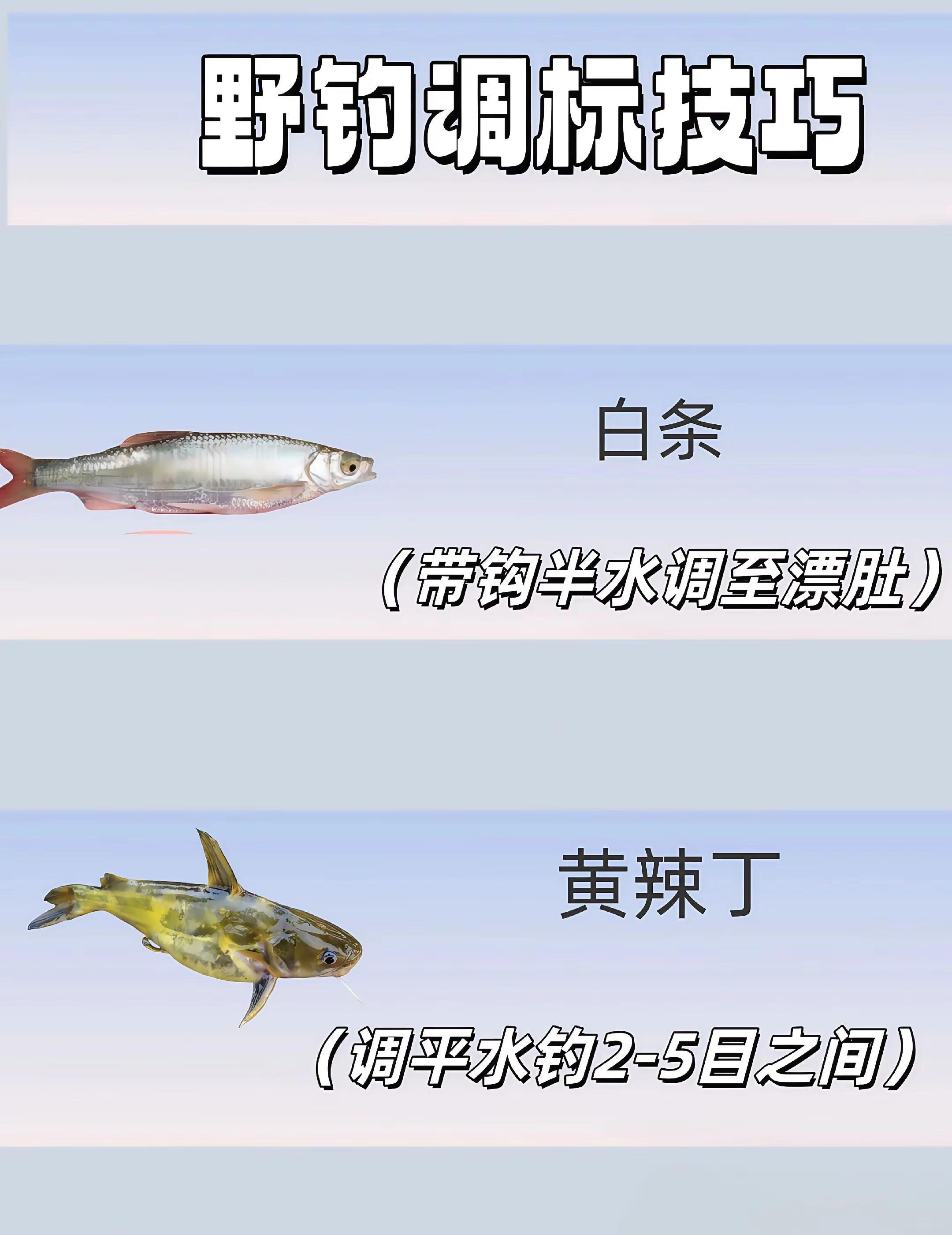 裸斑的钓法技巧(流水闷竿钓法技巧)