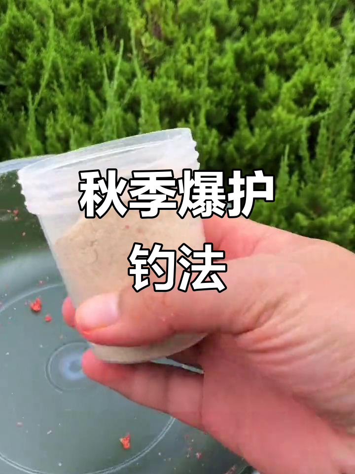 秋季钓鱼的用饵技巧视频(秋季钓鱼用什么饵最好)