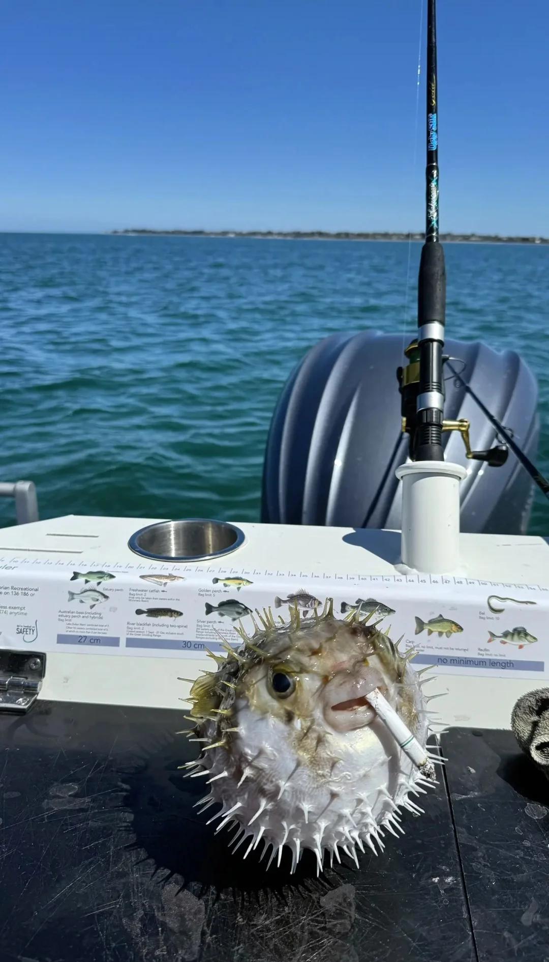 珠海飞沙海钓(珠海飞沙滩开放时间)