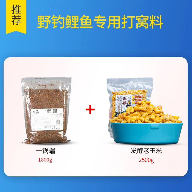 冬季水库钓鲤鱼饵料配方(冬季水库钓鲤鱼怎样打大窝)