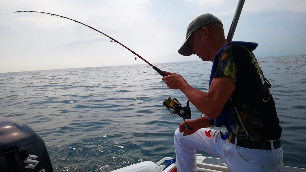 海钓南风(南风钓位选择)